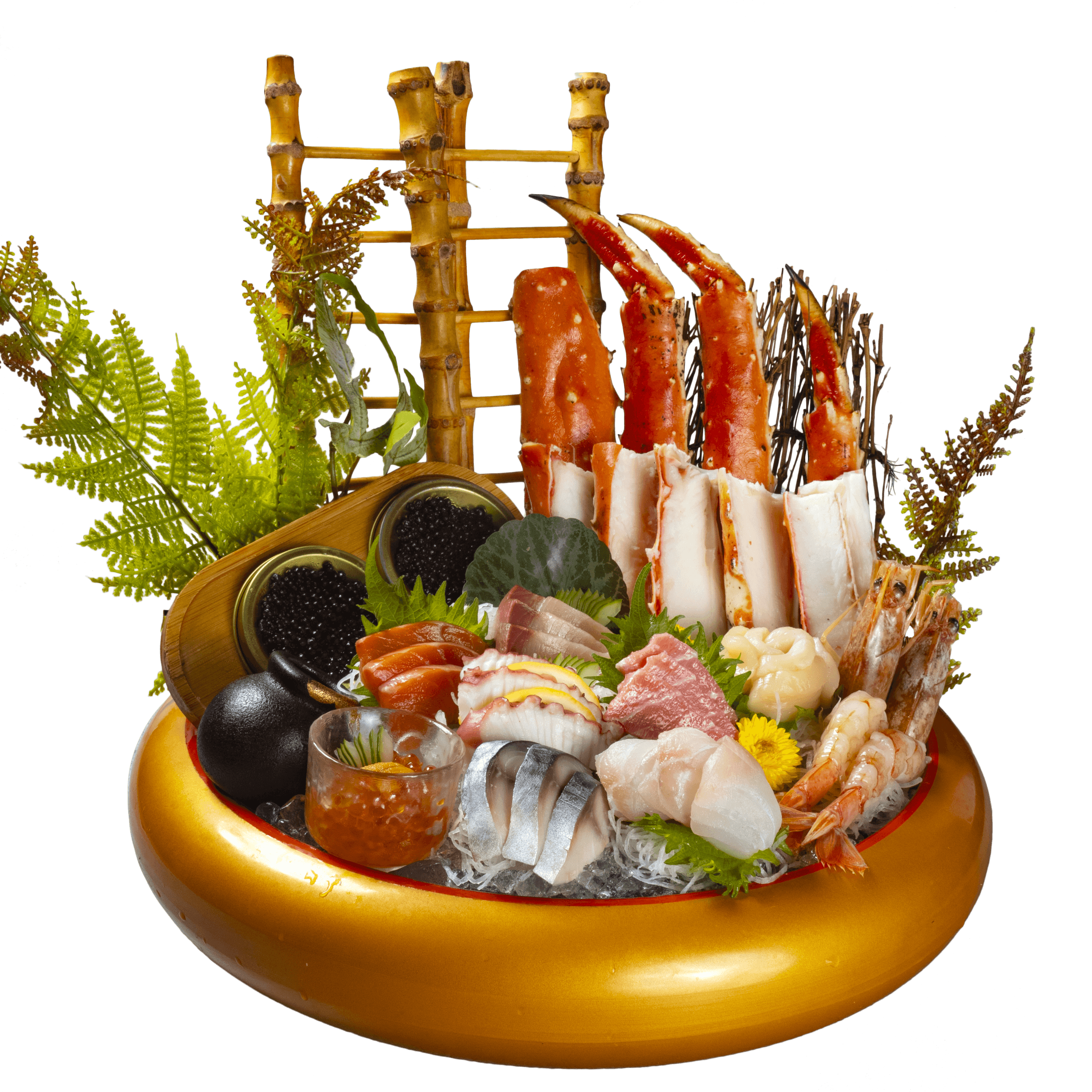 P1040219 copy (RM498) copy